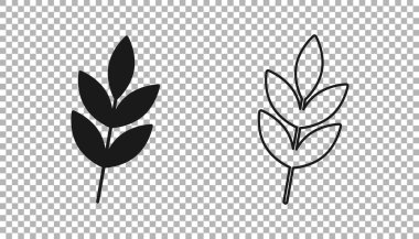Şeffaf arkaplanda siyah yaprak simgesi izole edildi. İşaret bırakıyor. Taze doğal ürün sembolü. Vektör.
