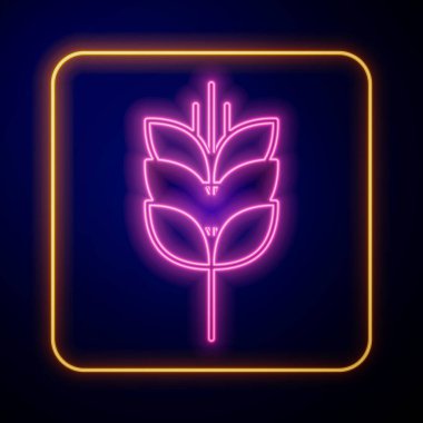 Pilav, buğday, mısır, yulaf, çavdar ve siyah arka planda izole edilmiş arpa ikonu ile parlayan neon tahıllar. Buğday ekmeği sembolleri. Vektör.