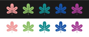 Kestane yaprağı simgesini siyah beyaz arkaplanda izole et. Vektör.