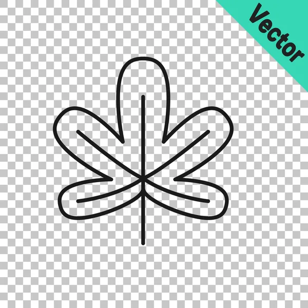 Black Line Chestnut Leaf Icon Isolated Transparent Background Vector — 스톡 벡터