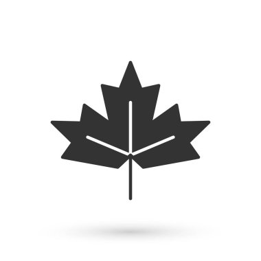 Beyaz arka planda gri Kanada akçaağaç yaprağı ikonu izole edildi. Kanada sembolü akçaağaç yaprağı. Vektör.