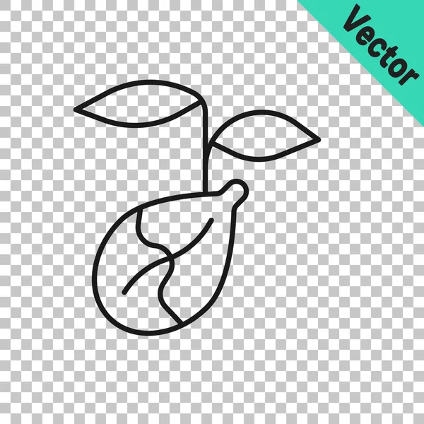 Schwarze Linie Sprout Symbol Isoliert Auf Transparentem Hintergrund Samen Und — Stockvektor