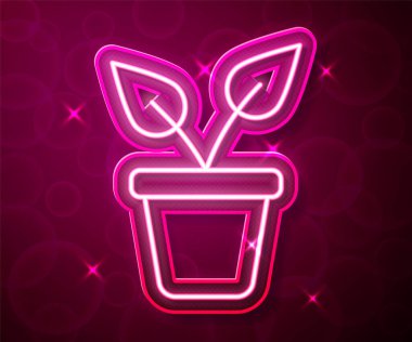Parlayan neon hattı. Kırmızı arkaplanda tencere simgesinde bitki var. Tencerede yetişen bir bitki. Saksı bitkisi işareti. Vektör.