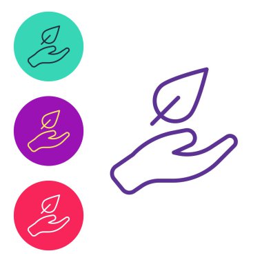 Çizgiyi ayarla. El, bitki simgesinin bir yaprağını beyaz arkaplanda izole et. Doğayı koru. Yaprak, çevre korumasıyla çekiliyor. Simgeleri renklendirin. Vektör.