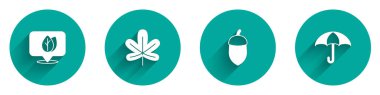 Set Location with leaf Chestnut Acorn and Umbrella icon with long shadow. Vector.