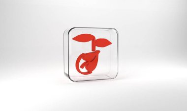 Red Sprout icon isolated on grey background. Seed and seedling. Leaves sign. Leaf nature. Glass square button. 3d illustration 3D render.