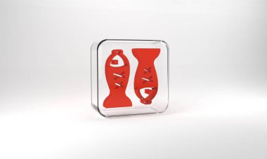 Red Served fish on a plate icon isolated on grey background. Glass square button. 3d illustration 3D render.