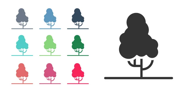 Ikona Černého Ovoce Izolované Bílém Pozadí Zemědělská Rostlina Ekologický Zemědělský — Stockový vektor