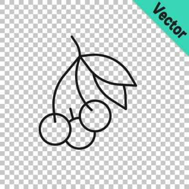 Siyah çizgi Taze yaz meyveleri simgesi şeffaf arka planda izole. Böğürtlen. Vektör.