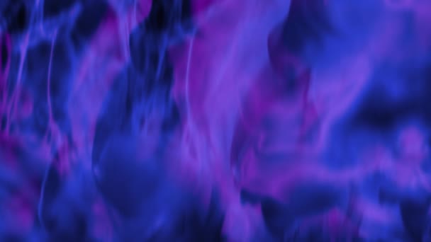 Smooth purple and blue smoke effect slowly rising upwards. — Stock Video