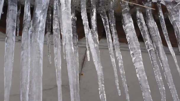 In inverno, i ghiaccioli pendono dal tetto. — Video Stock