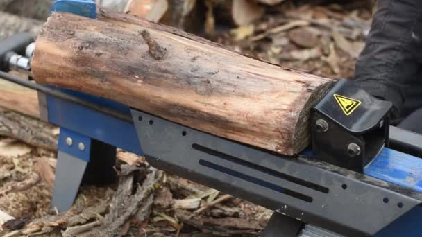 Hydraulický štípač dřeva štěpí pelyněk. Příprava na zimu. — Stock video