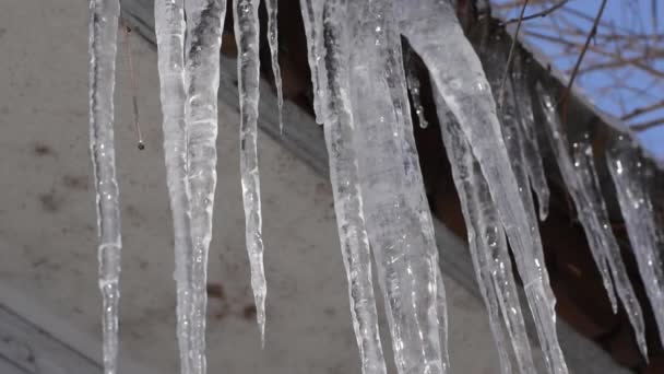 Télen jégcsapok lógnak a tetőről.. — Stock videók