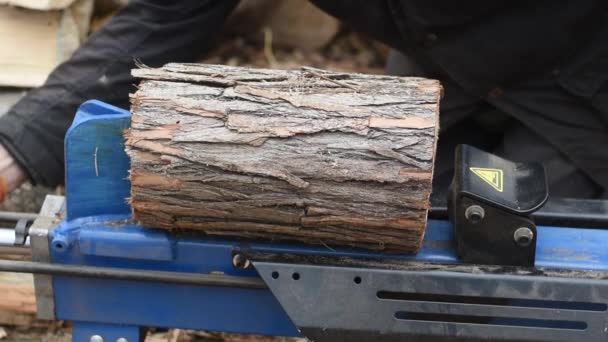 Hydraulic wood splitter splits wormwood. Preparation for the winter. — Stock Video