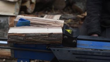 Hidrolik ahşap parçalayıcı pelin otunu ayırır. Yakacak odun üretimi. Kış için hazırlık.