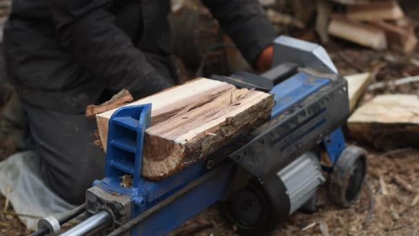 Hydraulic Wood Splitter Splits Wormwood Firewood Production Preparation Winter — Stock Video