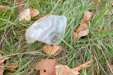 Eller ormanın arka planında bir maske tutuyor. Bir gönüllü ormanda çöp topluyor. Dünya Günü.