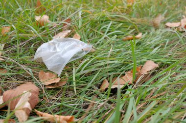 Eller ormanın arka planında bir maske tutuyor. Bir gönüllü ormanda çöp topluyor. Dünya Günü.