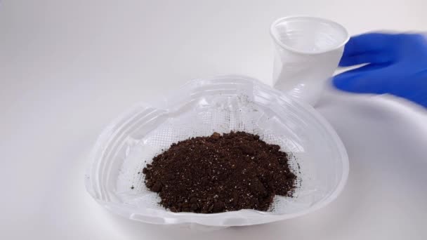 Plastic Schaaltjes Een Witte Achtergrond Aarde Een Bord Natuurlijke Voeding — Stockvideo
