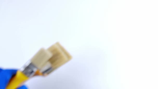 Pinsel Auf Weißem Hintergrund Pinsel Fallen Auf Weißem Hintergrund — Stockvideo
