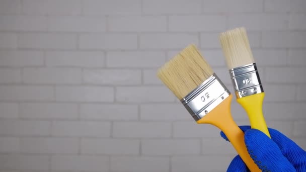 Brushes Hand Free Space Gloved Hand Holds Brushes Background Wall — Stock Video