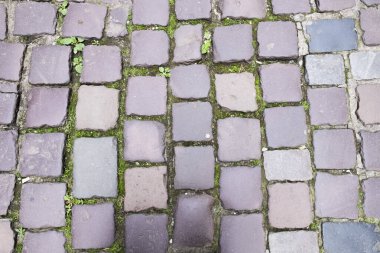 Kaya taşları. Eski yol. Yeşillikle kaplanmış sevgili