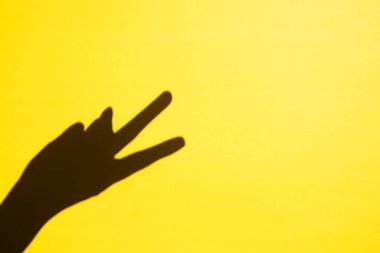 gesture. shadow victory sign on a blue background, free space
