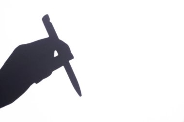 shadow hand holding a pen on a white background, free space, space for text