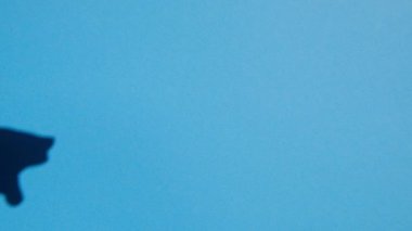 shadow, one click of fingers on blue background