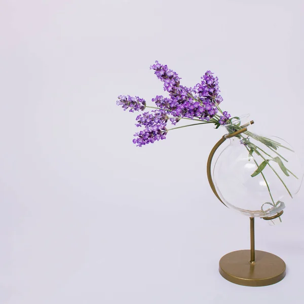 Fresh bouquet of lavender flowers in vase with petals on the ground on bright pastel purple background with copy space for greeting message. Minimal summer blooming scent concept. Gift aesthetic.