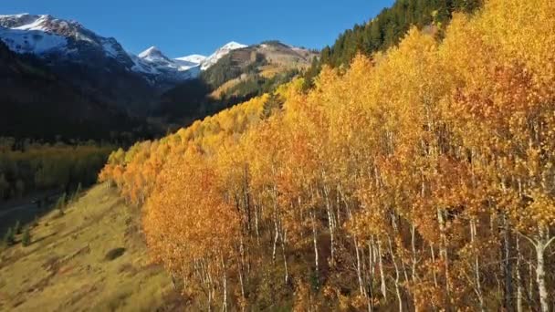 Vista Aérea Ascendente Montanha Coberta Árvores Douradas Durante Outono Com — Vídeo de Stock