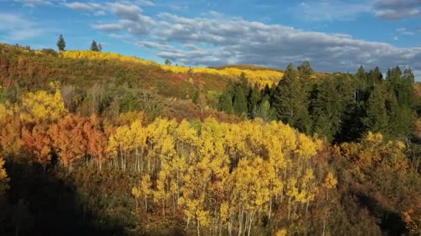 Flyger Över Färgglada Fall Rullande Kullar Utah Tittar Bladverk Och — Stockvideo