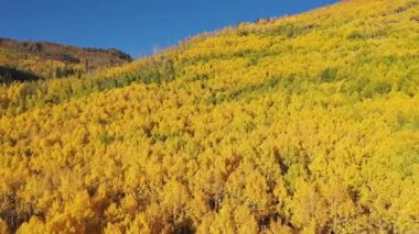 Utah 'ın sonbahar rengi ile kaplı dağların üzerinden geriye doğru uçmak ormanı daha geniş görmek gibi..