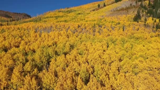 Steigende Luftaufnahme Berg Herbstfarben Utah Bedeckt — Stockvideo