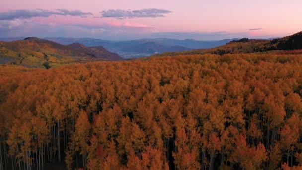 Πετώντας Πάνω Από Ορεινό Δάσος Κατά Διάρκεια Προνομιακή Φθινόπωρο Χρώμα — Αρχείο Βίντεο