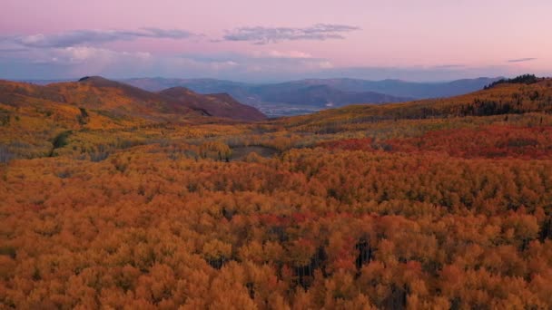 Ευρεία Εναέρια Άποψη Του Πολύχρωμο Τοπίο Φθινόπωρο Στα Βουνά Της — Αρχείο Βίντεο