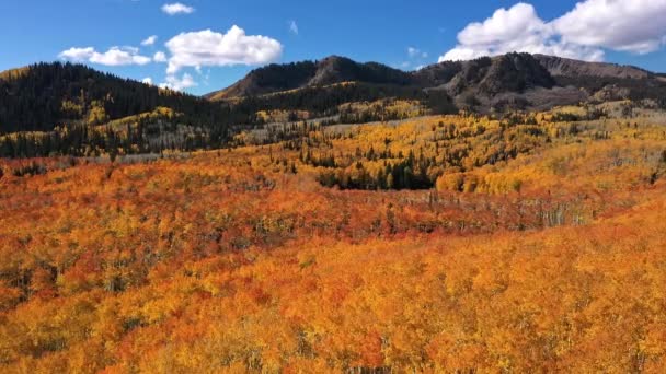 Bred Panorering Antenn Utsikt Flyger Över Färgglada Hösten Landskap Utah — Stockvideo