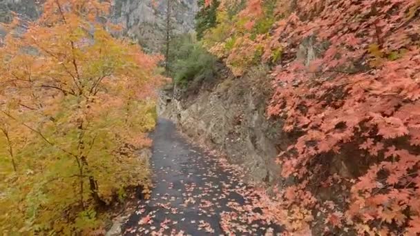 Caminando Por Sendero Durante Otoño Utah Sendero Montaña American Fork — Vídeos de Stock