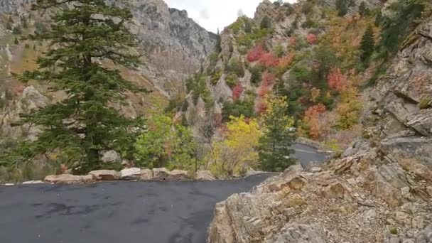 アメリカのフォークキャニオンでユタ州の秋の間にティンパゴス洞窟の道を歩く — ストック動画