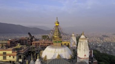 Black Kite passing by flying over Swayambhunath Stupa in Kathmandu Nepal.