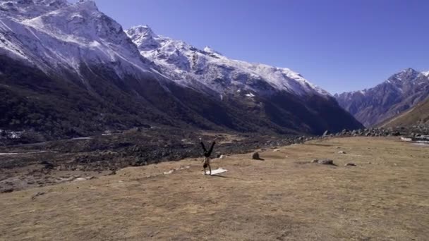 在尼泊尔Kyaniji山谷做瑜伽的人在他周围飞来飞去 观看身后雪峰覆盖的群山 — 图库视频影像