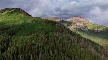 Aerial view of Timpanogos Mountain surrounded in green forest during the Summer in Utah.