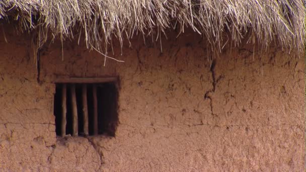 Primer Plano Ventana Cabaña Barro Hierba África — Vídeo de stock