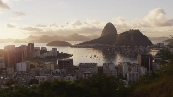 Tageslichtaufnahme Vom Zuckerhut Rio Und Botafogo Bay Vögel Flug Werden — Stockvideo