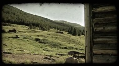 Eski terk edilmiş kabin ve yakındaki dağ yamacının çim ve çam ağaçları ile kaplı karanlık tarafı yavaş zoom. Vintage stilize video klip.