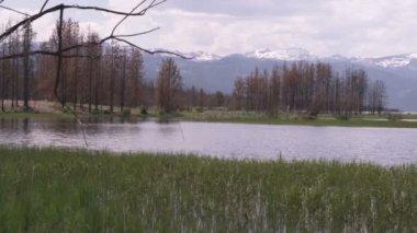 Dağlar Yellowstone Milli Parkı'nda göl ve ağaçları geniş çekim.