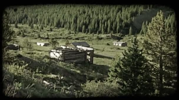 Çam Ağaçları Ile Dolu Bir Dağ Yamacında Diğer Eski Kabin — Stok video