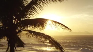 Rio de Janeiro, Brezilya'da Ipanema plaj dalgaları ve tepeler üzerinde gün batımı. Bir palmiye ağacı çekim foregrounds ve onun fronds ile güneş ışığı filtreler.