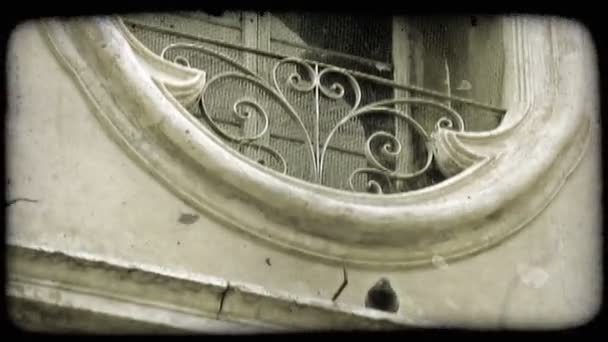 Pigeon Walks Back Forth Window Italian Building Vintage Stylized Video — Stock Video