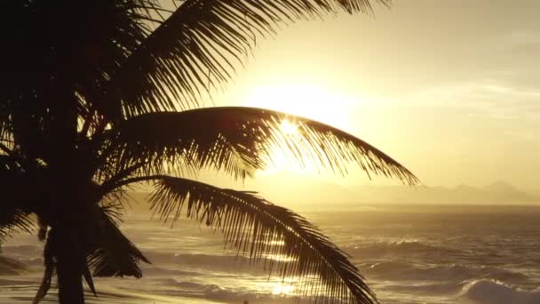 Sunset Waves Hills Ipanema Beach Rio Janeiro Brazil Palm Tree — Stock Video